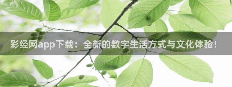 sunbet申搏2登录入口：彩经网app下载：全新的数字生活方式与文化体验！