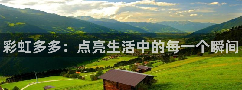 sunbet申搏4：彩虹多多：点亮生活中的每一个瞬间