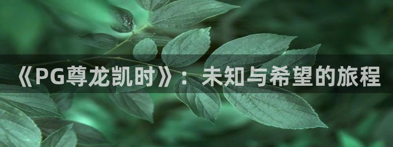 sunbet申搏代理注册官网入口：《PG尊龙凯时》：未知与希望的旅程